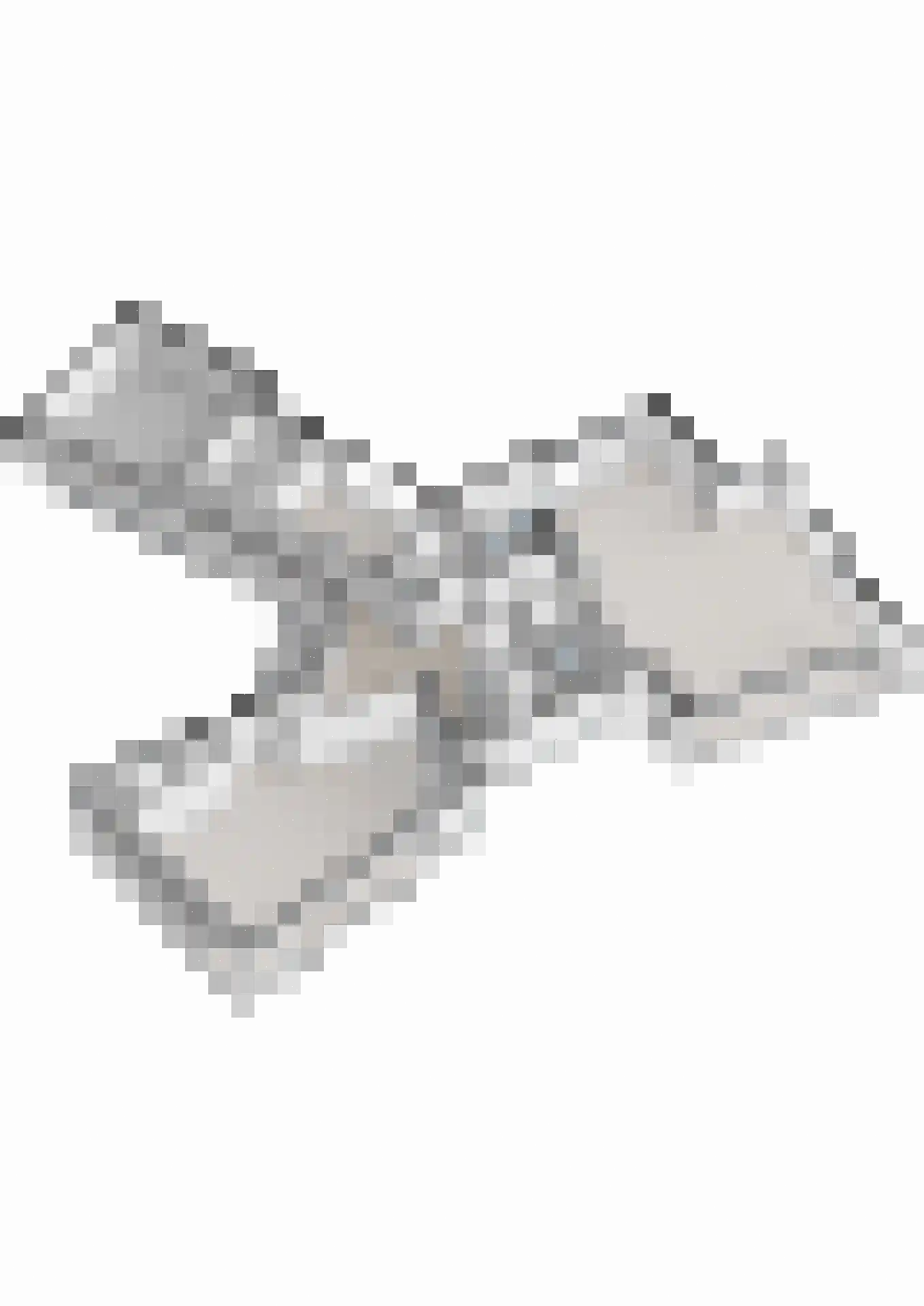 Vijverlaan 15 Nieuwleusen thumbnail 58