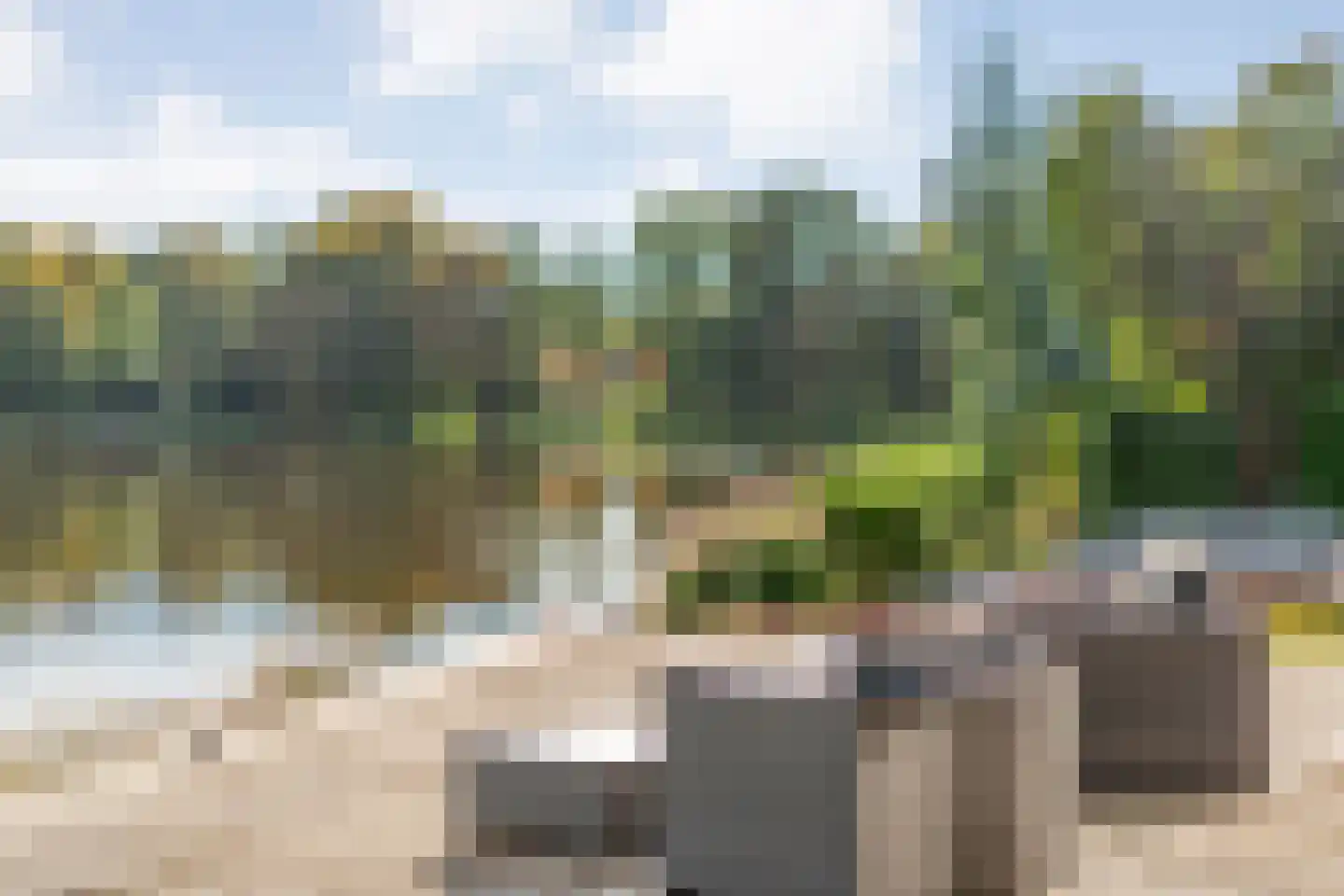 Vijverlaan 15 Nieuwleusen thumbnail 6