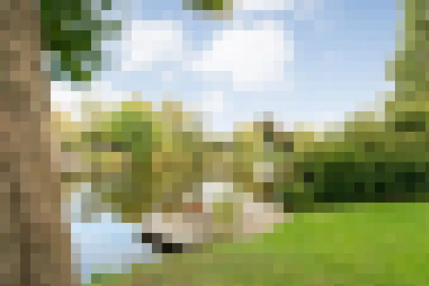 Vijverlaan 15 Nieuwleusen thumbnail 64