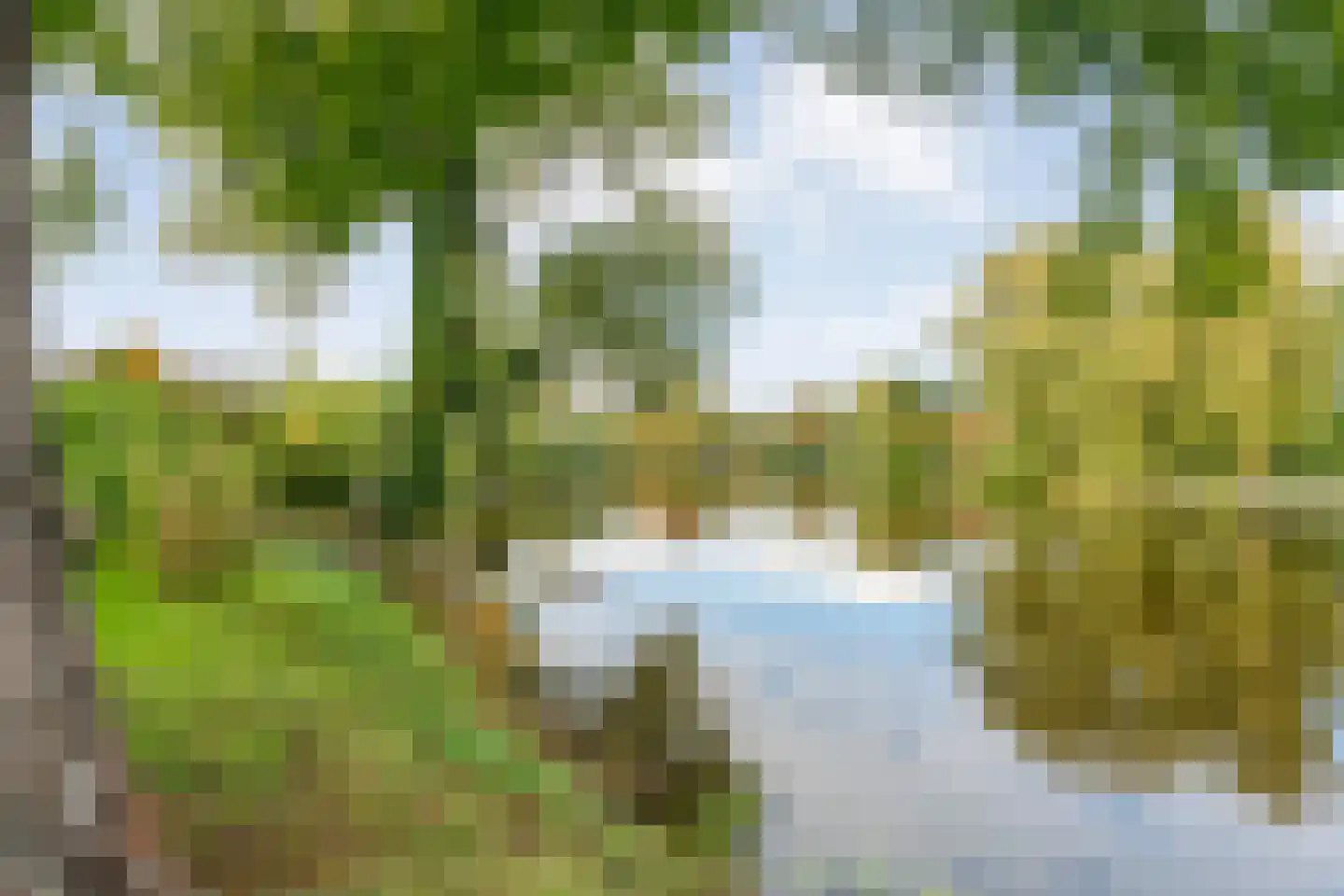 Vijverlaan 15 Nieuwleusen thumbnail 65