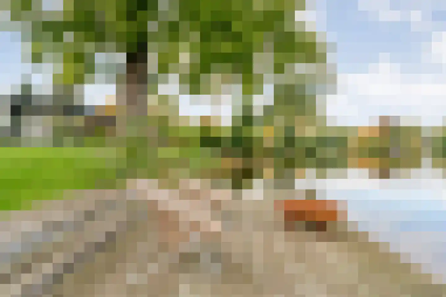 Vijverlaan 15 Nieuwleusen thumbnail 66
