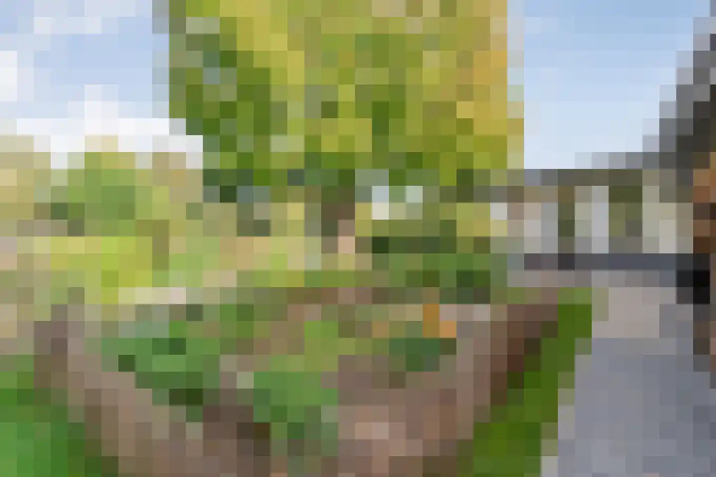 Vijverlaan 15 Nieuwleusen thumbnail 68
