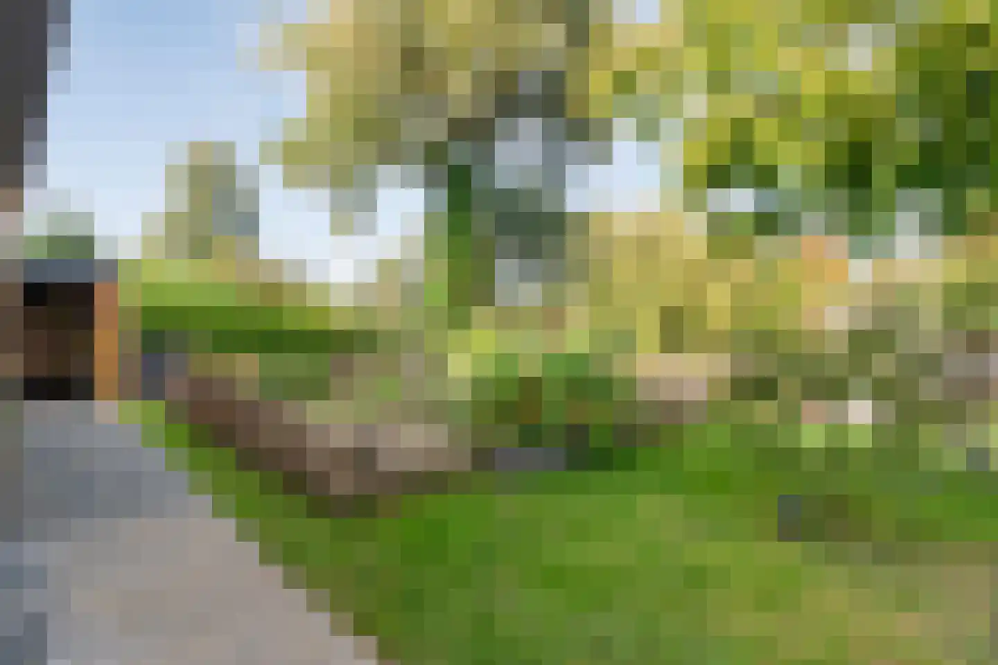 Vijverlaan 15 Nieuwleusen thumbnail 69