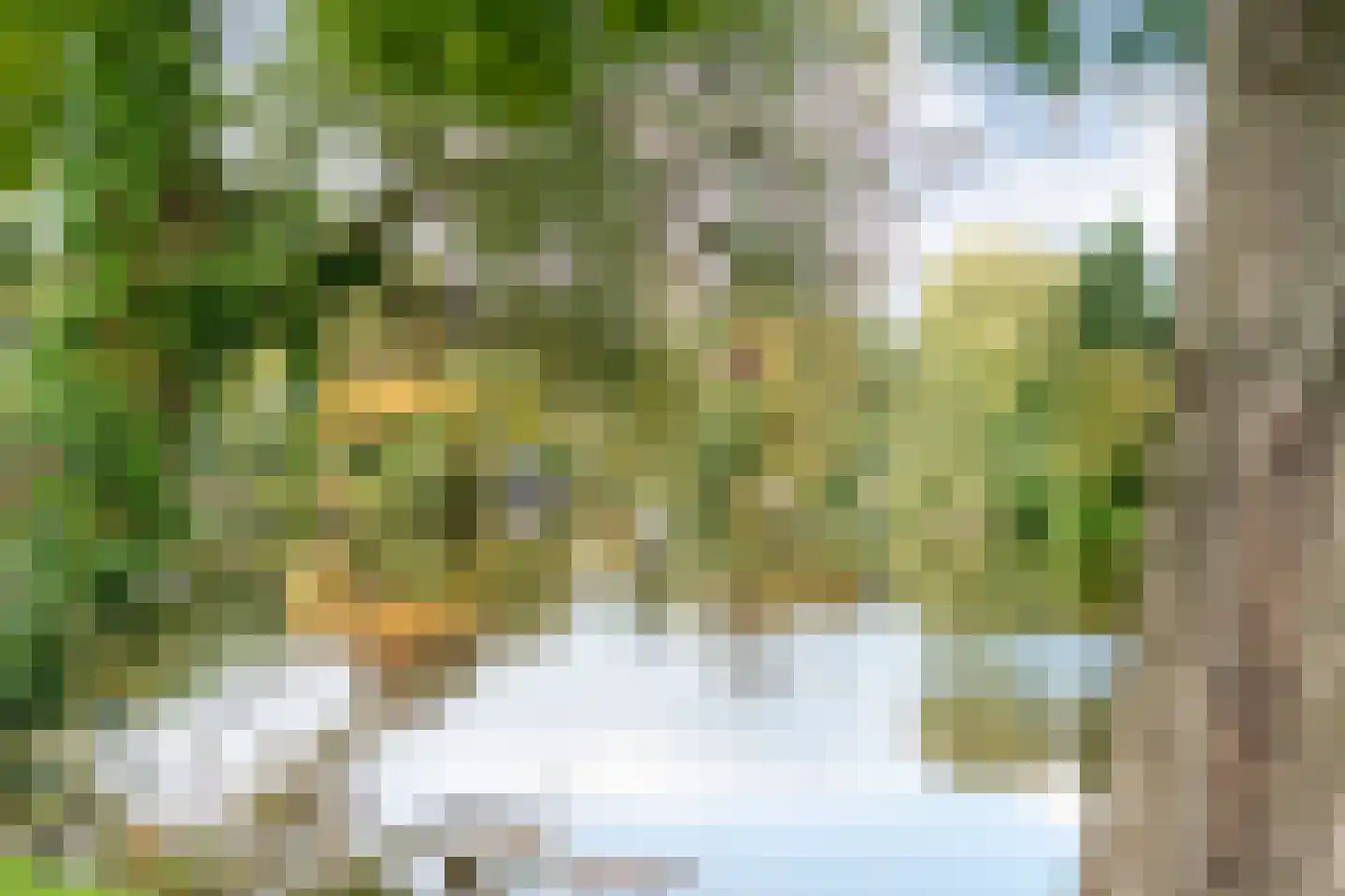 Vijverlaan 15 Nieuwleusen thumbnail 7