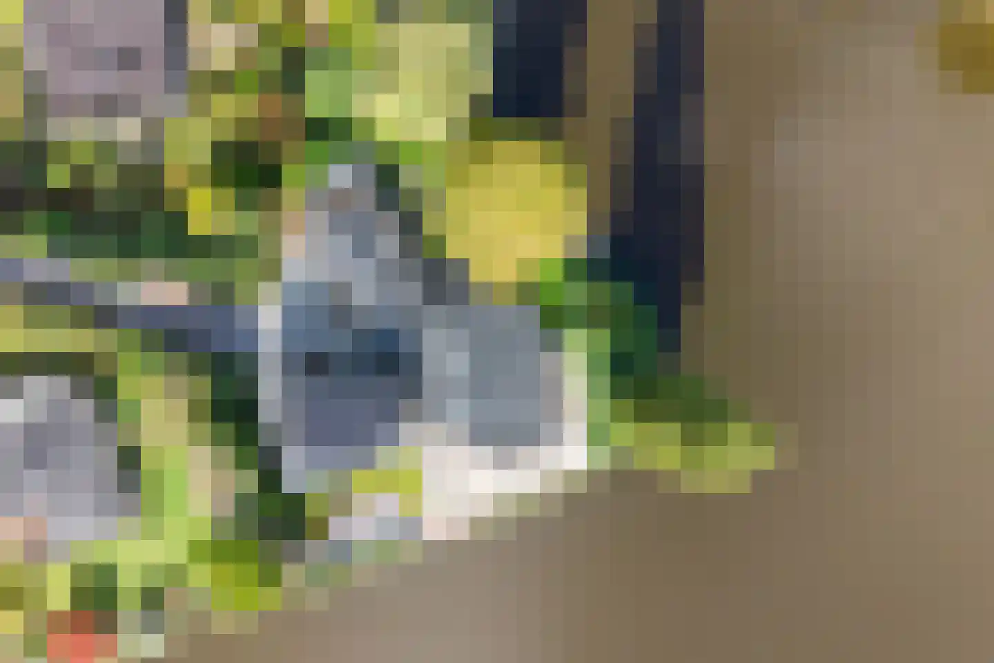 Vijverlaan 15 Nieuwleusen thumbnail 79