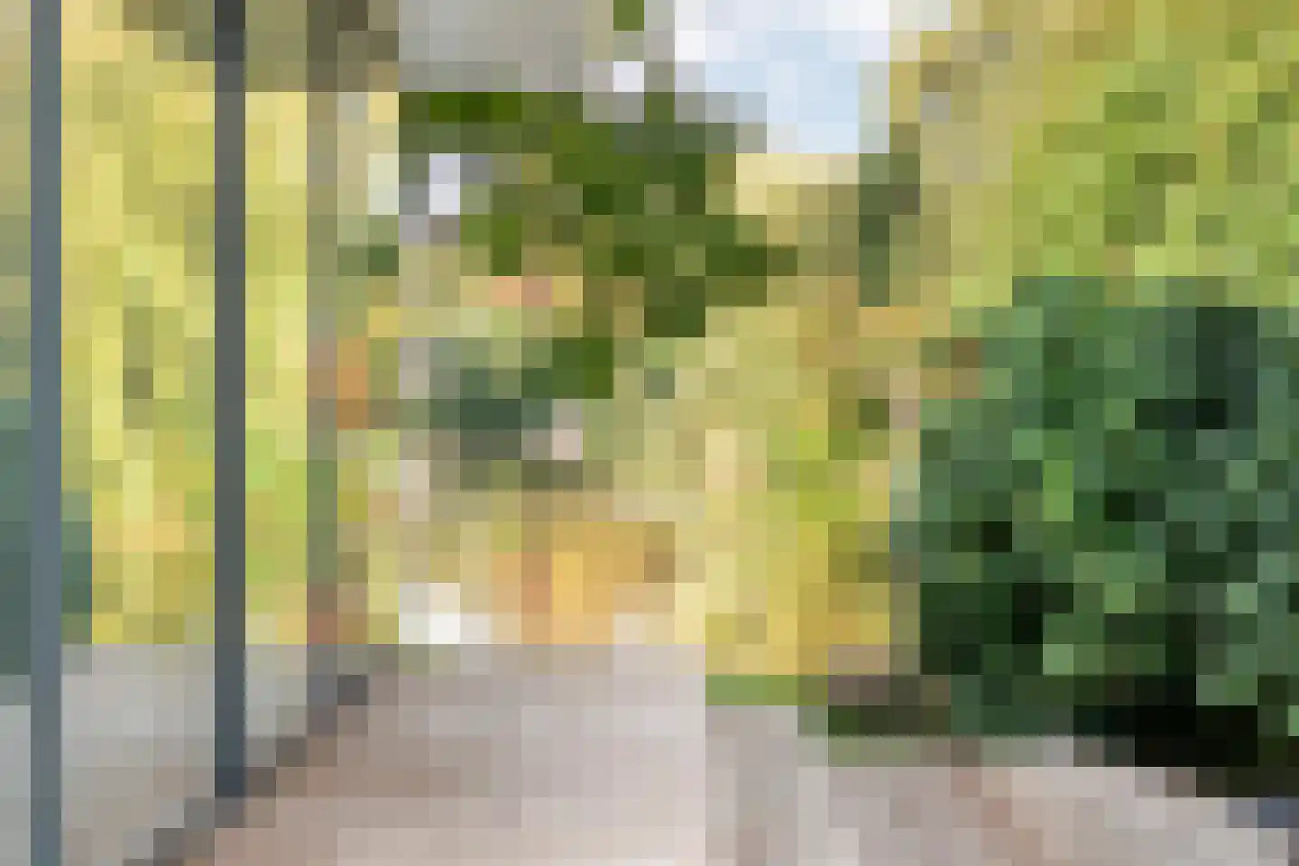 Vijverlaan 15 Nieuwleusen thumbnail 8