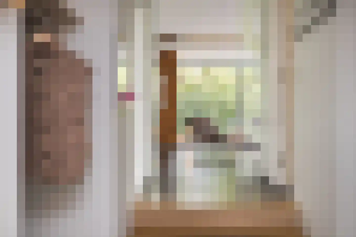 Vijverlaan 15 Nieuwleusen thumbnail 8