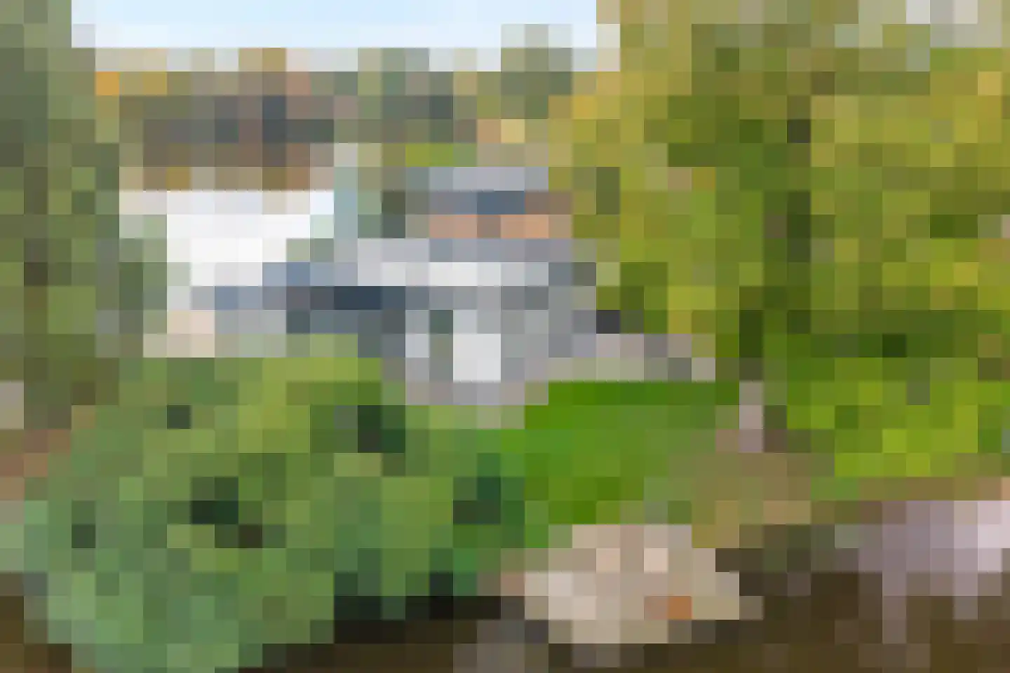 Vijverlaan 15 Nieuwleusen thumbnail 80