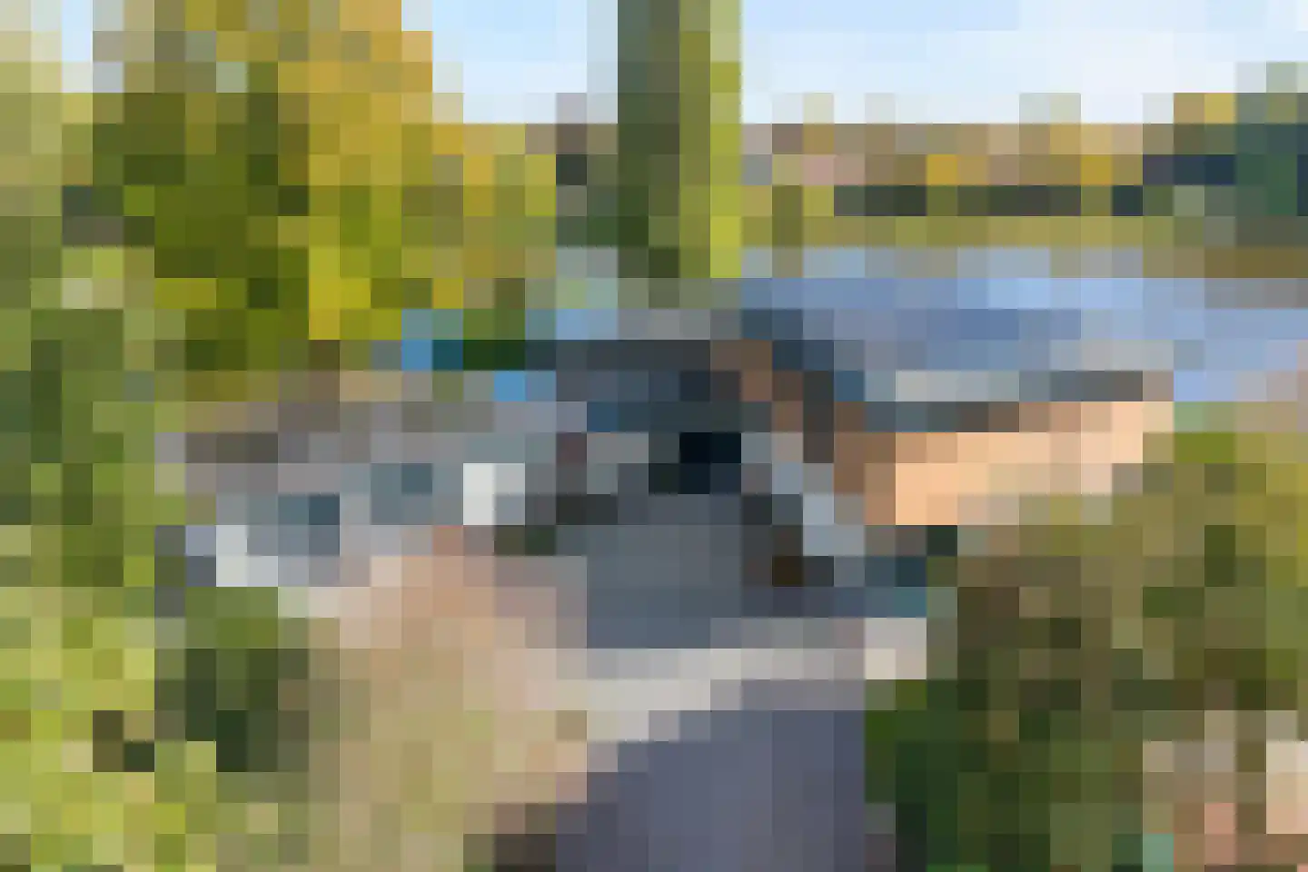 Vijverlaan 15 Nieuwleusen thumbnail 83