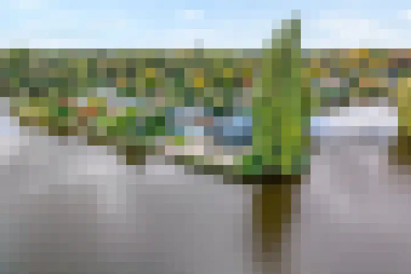 Vijverlaan 15 Nieuwleusen thumbnail 9