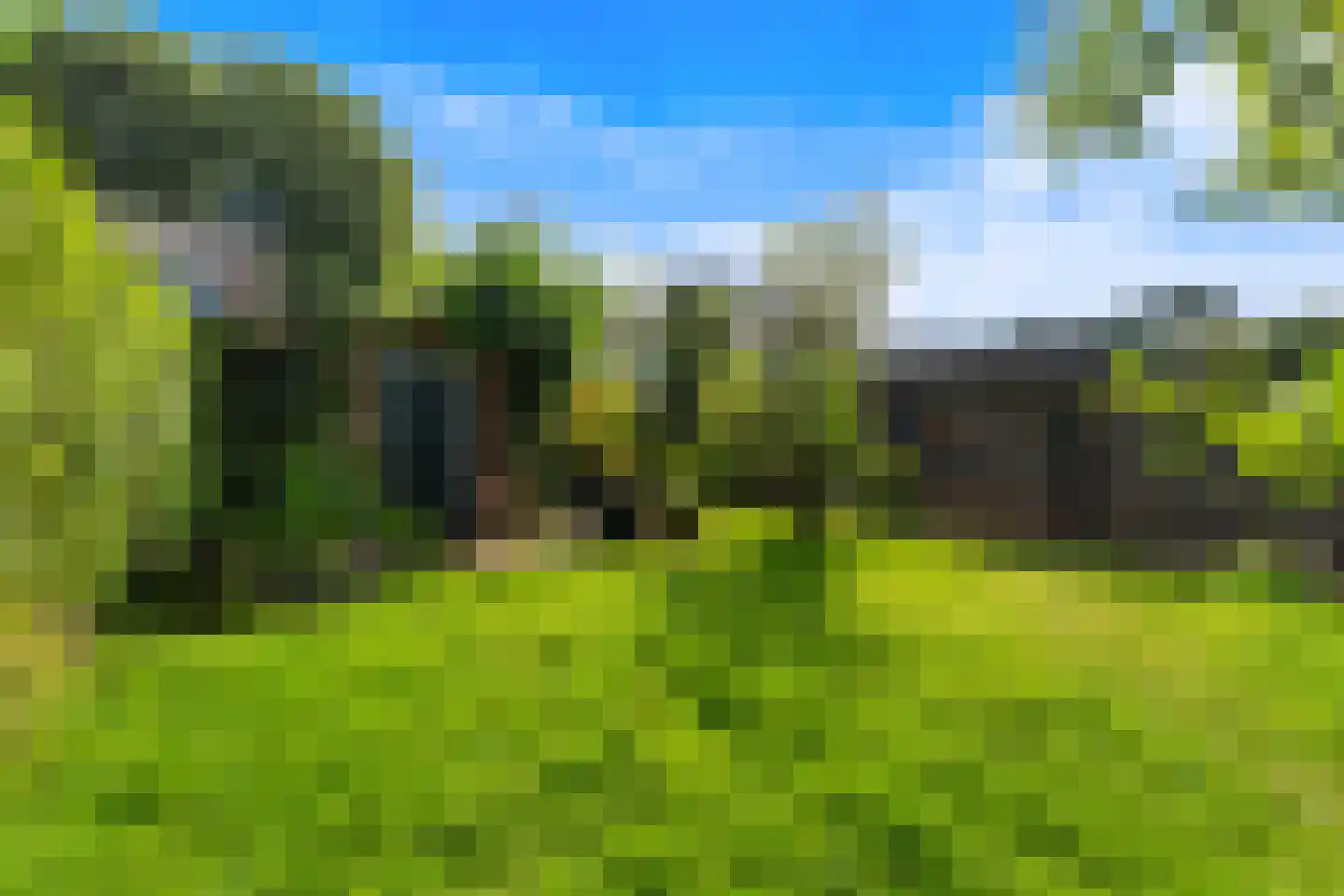 Vijverlaan 159 Dordrecht thumbnail 4