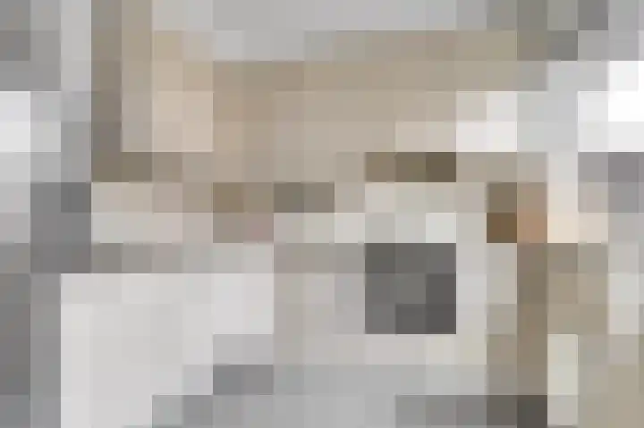 Vijverlaan 16 Waddinxveen thumbnail 11