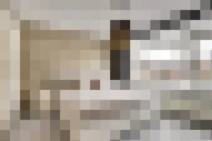Vijverlaan 16 Waddinxveen thumbnail 13