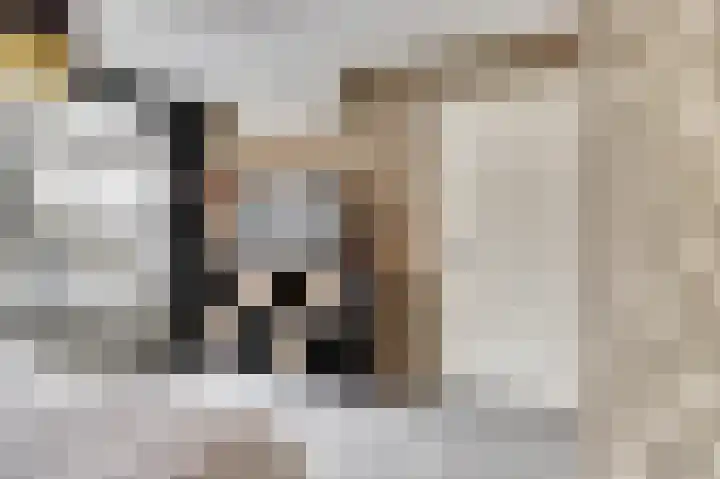 Vijverlaan 16 Waddinxveen thumbnail 14