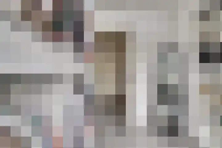 Vijverlaan 16 Waddinxveen thumbnail 18