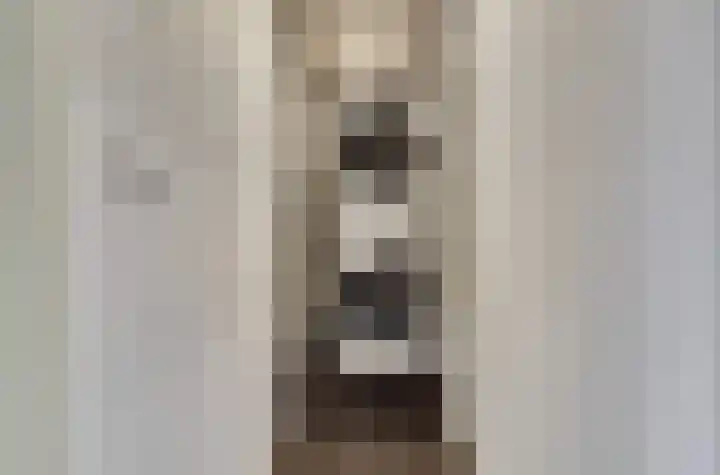 Vijverlaan 16 Waddinxveen thumbnail 21