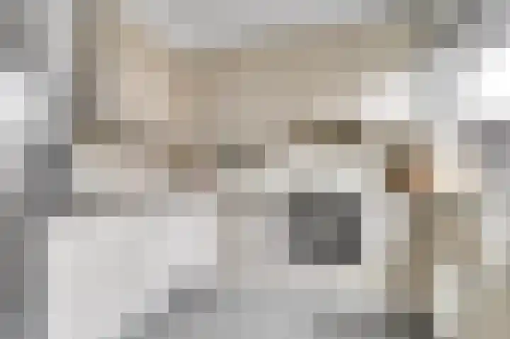 Vijverlaan 16 Waddinxveen thumbnail 4