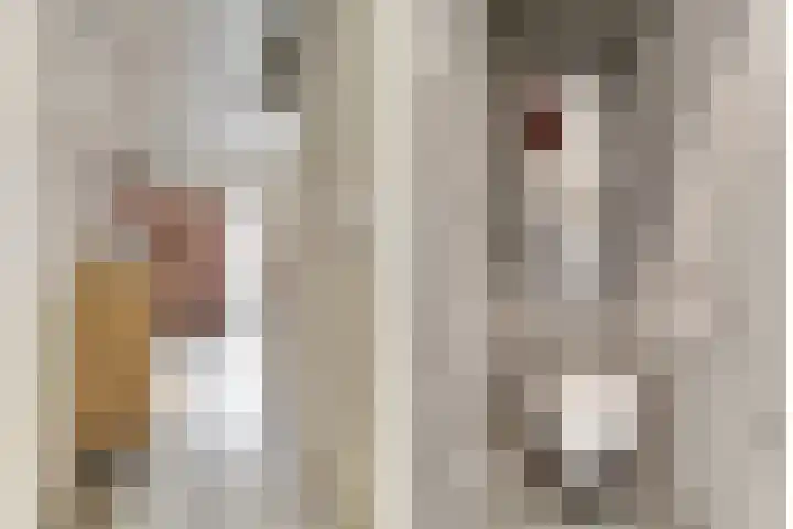 Vijverlaan 16 Waddinxveen thumbnail 7