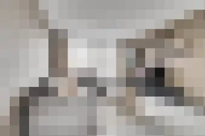 Vijverlaan 16 Waddinxveen thumbnail 8