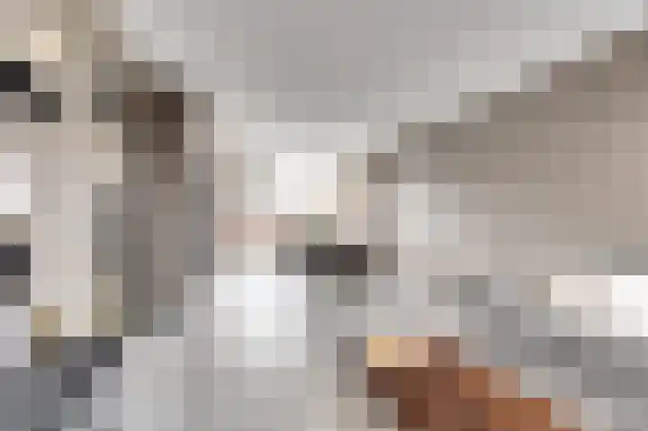 Vijverlaan 16 Waddinxveen thumbnail 9