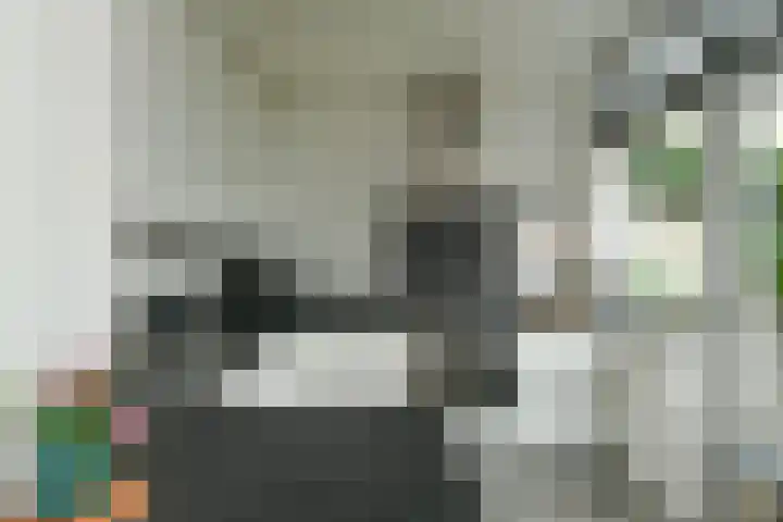 Vijverlaan 18 Arnhem thumbnail 21