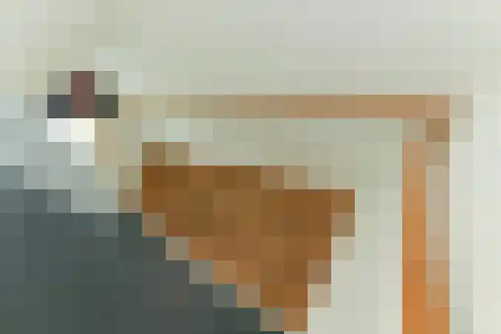 Vijverlaan 18 Arnhem thumbnail 26