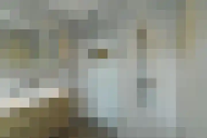 Vijverlaan 18 Arnhem thumbnail 36