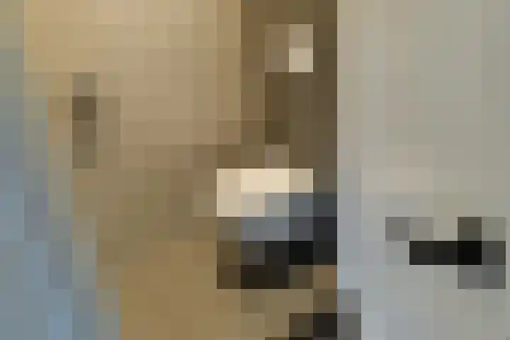 Vijverlaan 18 Arnhem thumbnail 37