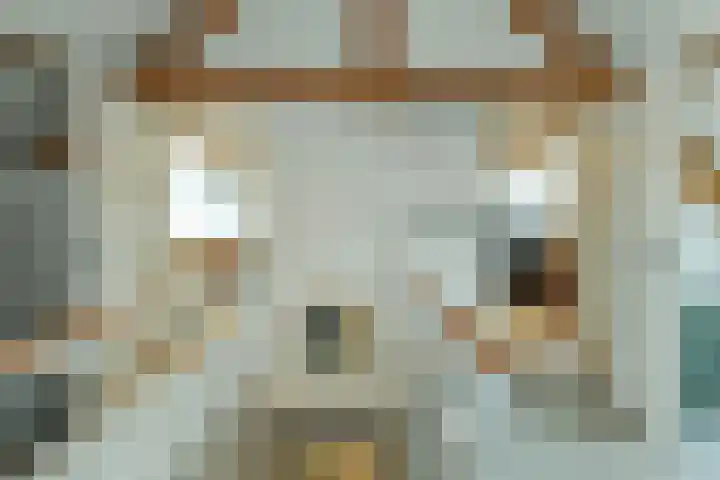 Vijverlaan 18 Arnhem thumbnail 38