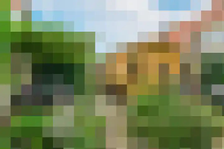 Vijverlaan 18 Arnhem thumbnail 4