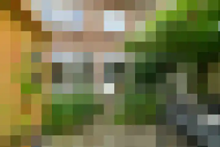 Vijverlaan 18 Arnhem thumbnail 42