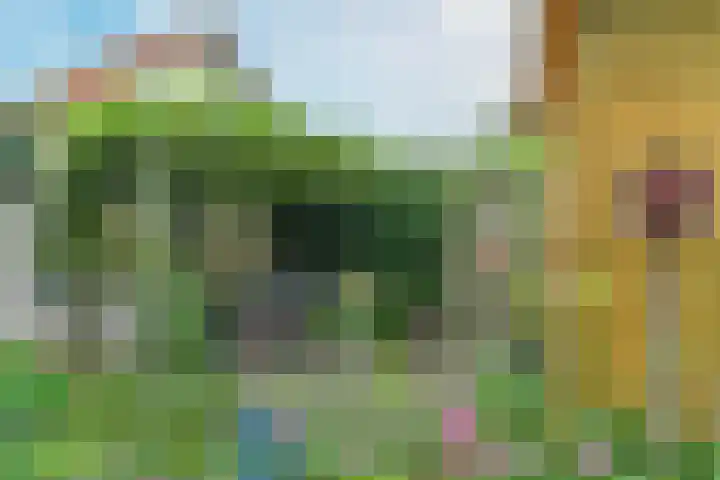 Vijverlaan 18 Arnhem thumbnail 45