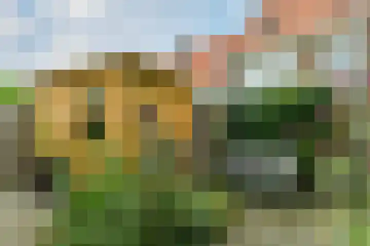 Vijverlaan 18 Arnhem thumbnail 47