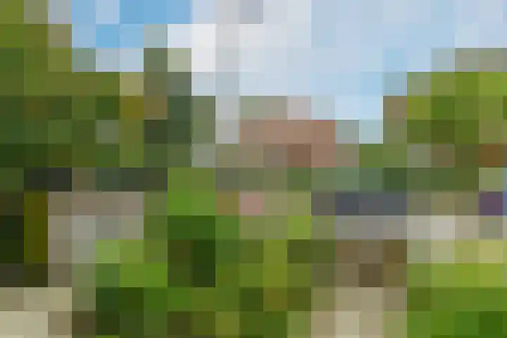 Vijverlaan 18 Arnhem thumbnail 6