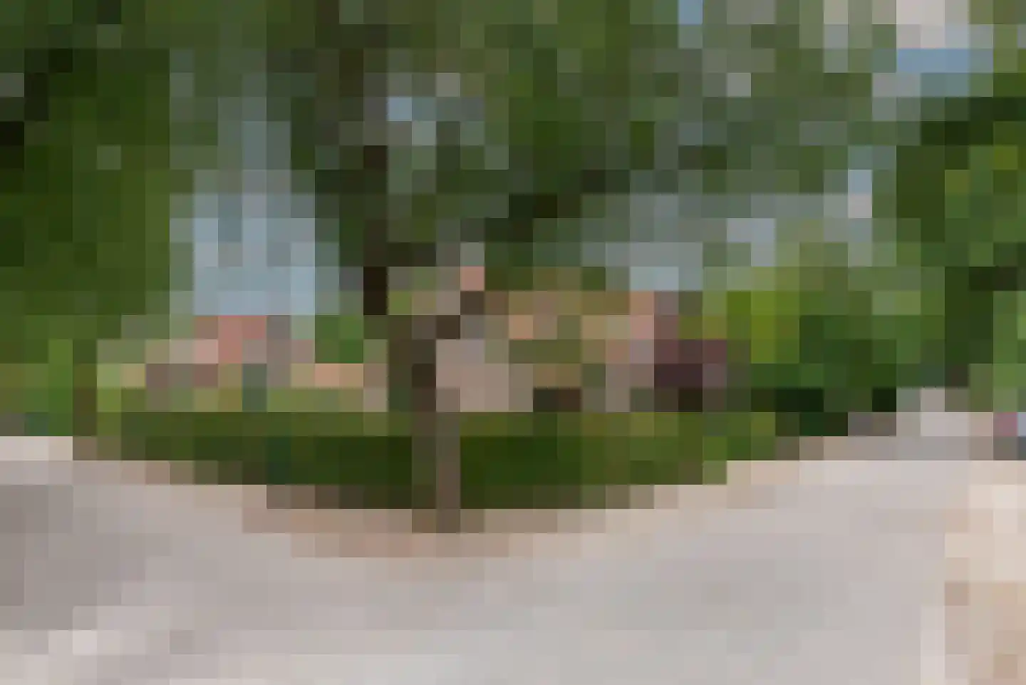 Vijverlaan 18 Groenekan thumbnail 46