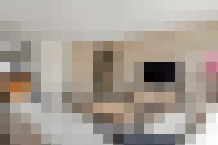Vijverlaan 18 Tiel thumbnail 11