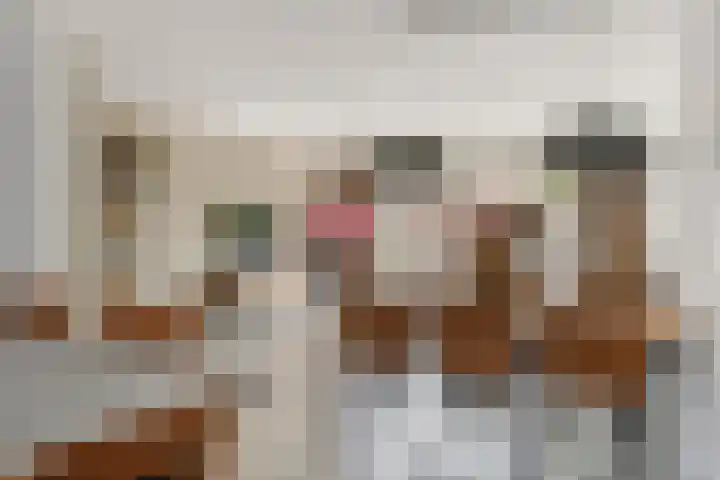 Vijverlaan 18 Tiel thumbnail 14