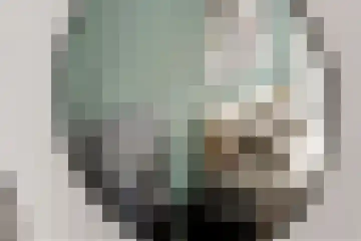 Vijverlaan 18 Tiel thumbnail 22