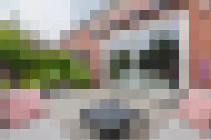 Vijverlaan 18 Tiel thumbnail 33
