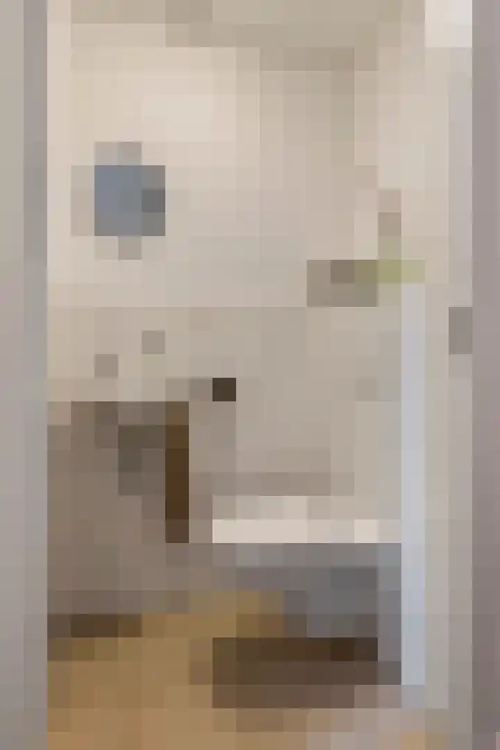 Vijverlaan 18 Tiel thumbnail 5