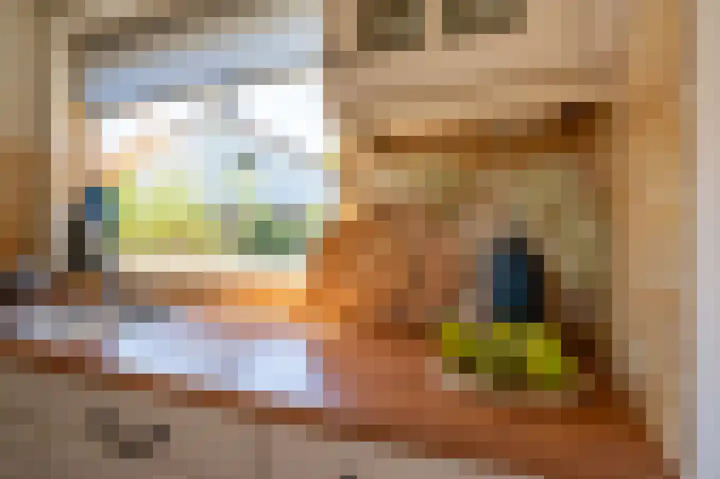 Vijverlaan 19 Rolde thumbnail 20