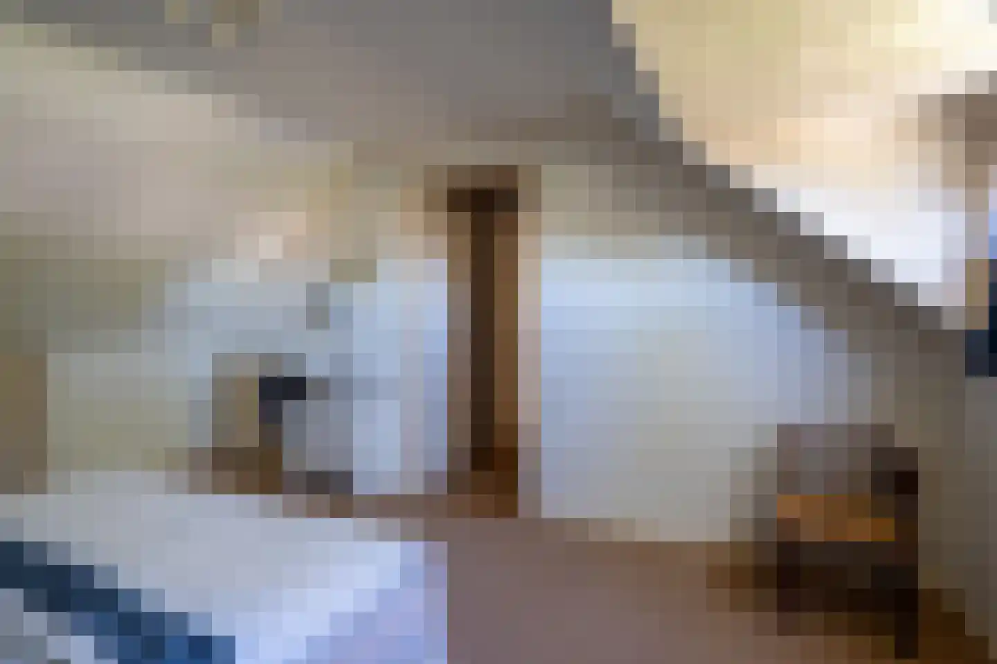 Vijverlaan 19 Rolde thumbnail 37