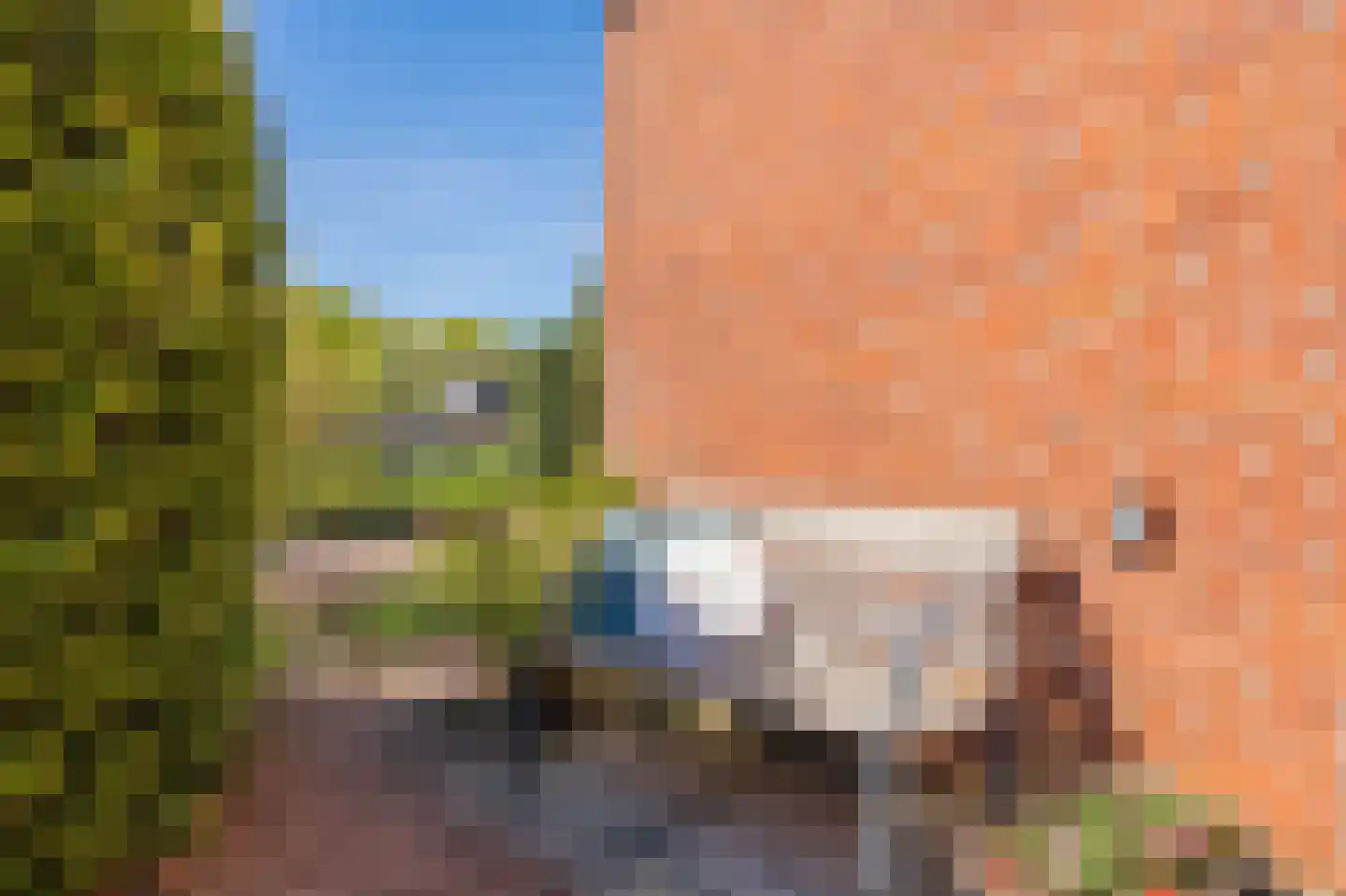 Vijverlaan 19 Rolde thumbnail 40