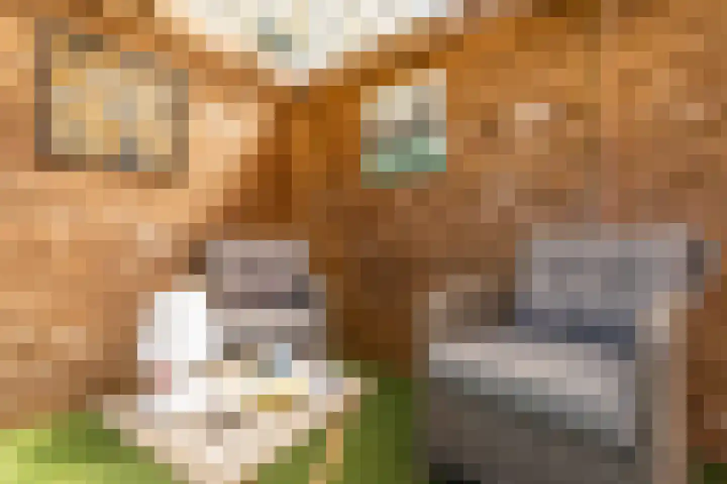 Vijverlaan 19 Rolde thumbnail 43