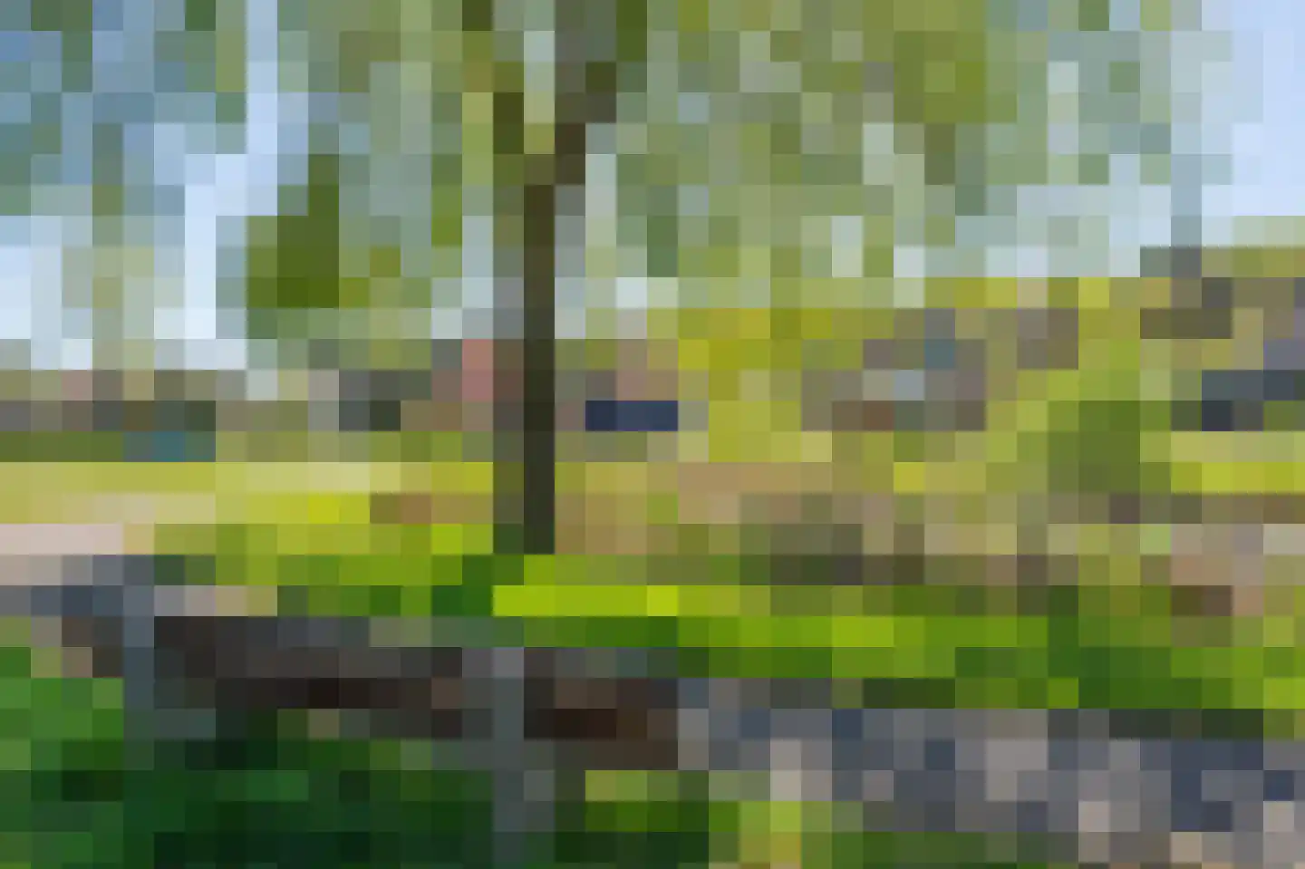 Vijverlaan 19 Rolde thumbnail 48