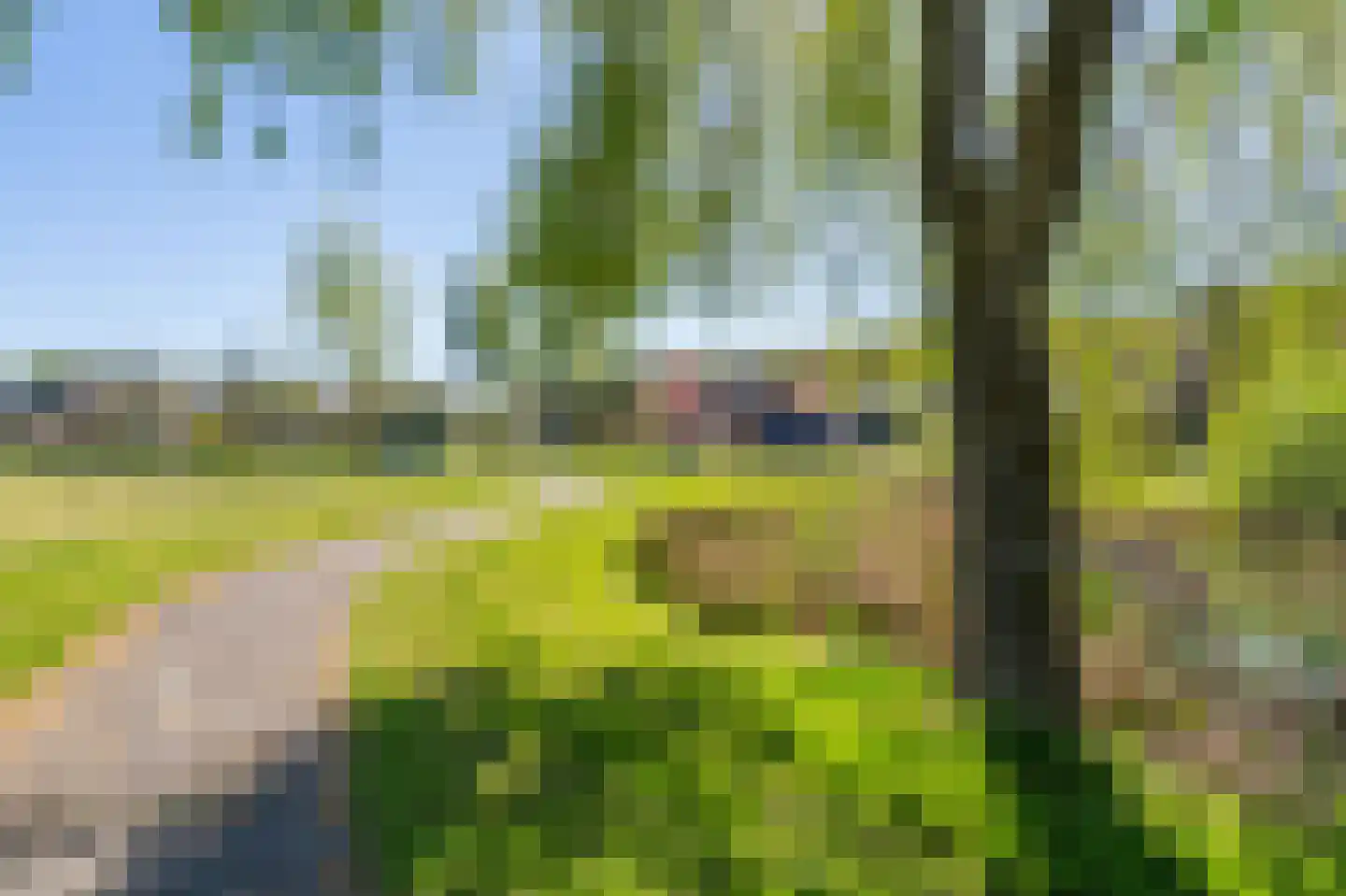 Vijverlaan 19 Rolde thumbnail 50