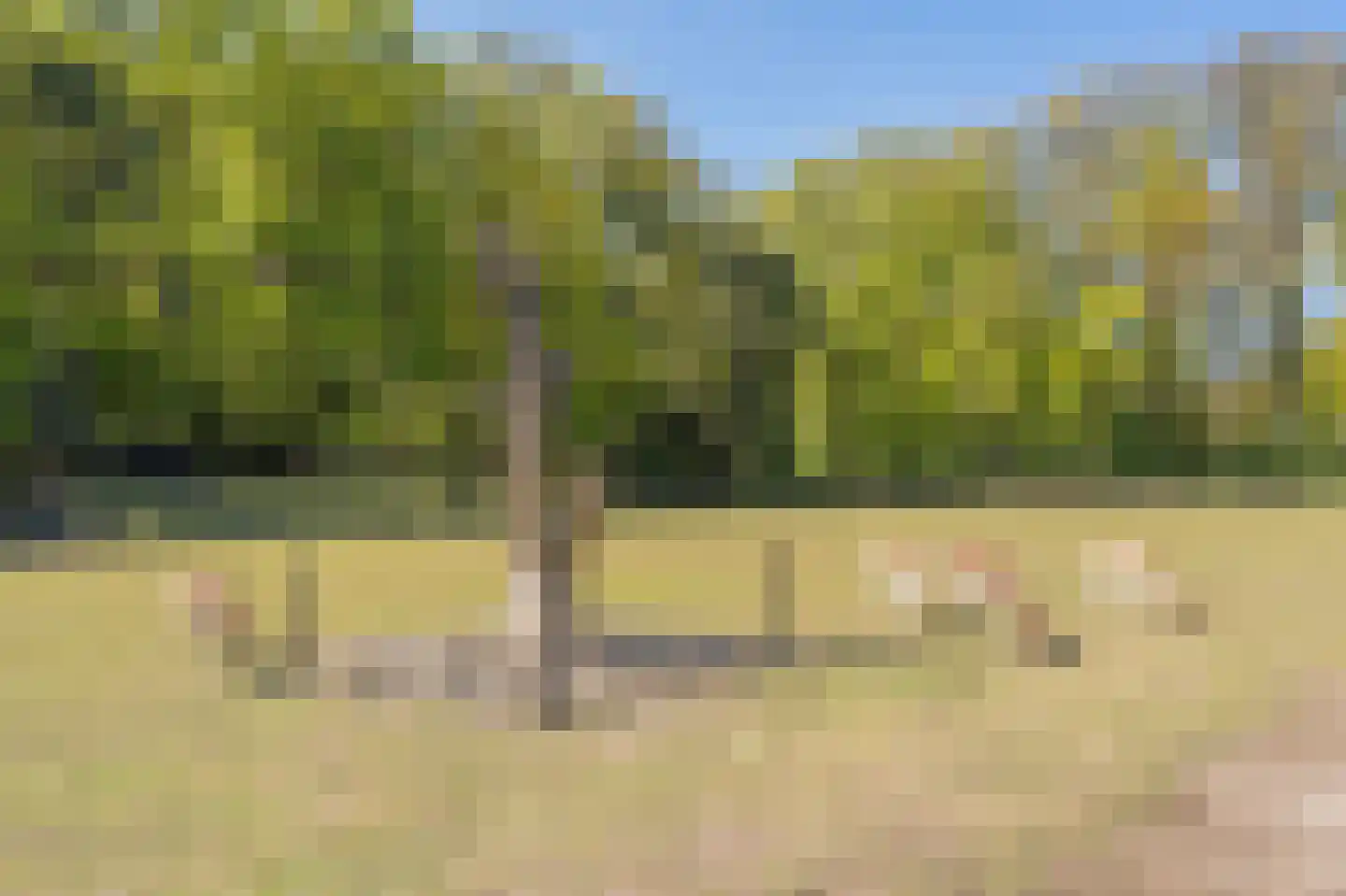 Vijverlaan 19 Rolde thumbnail 53