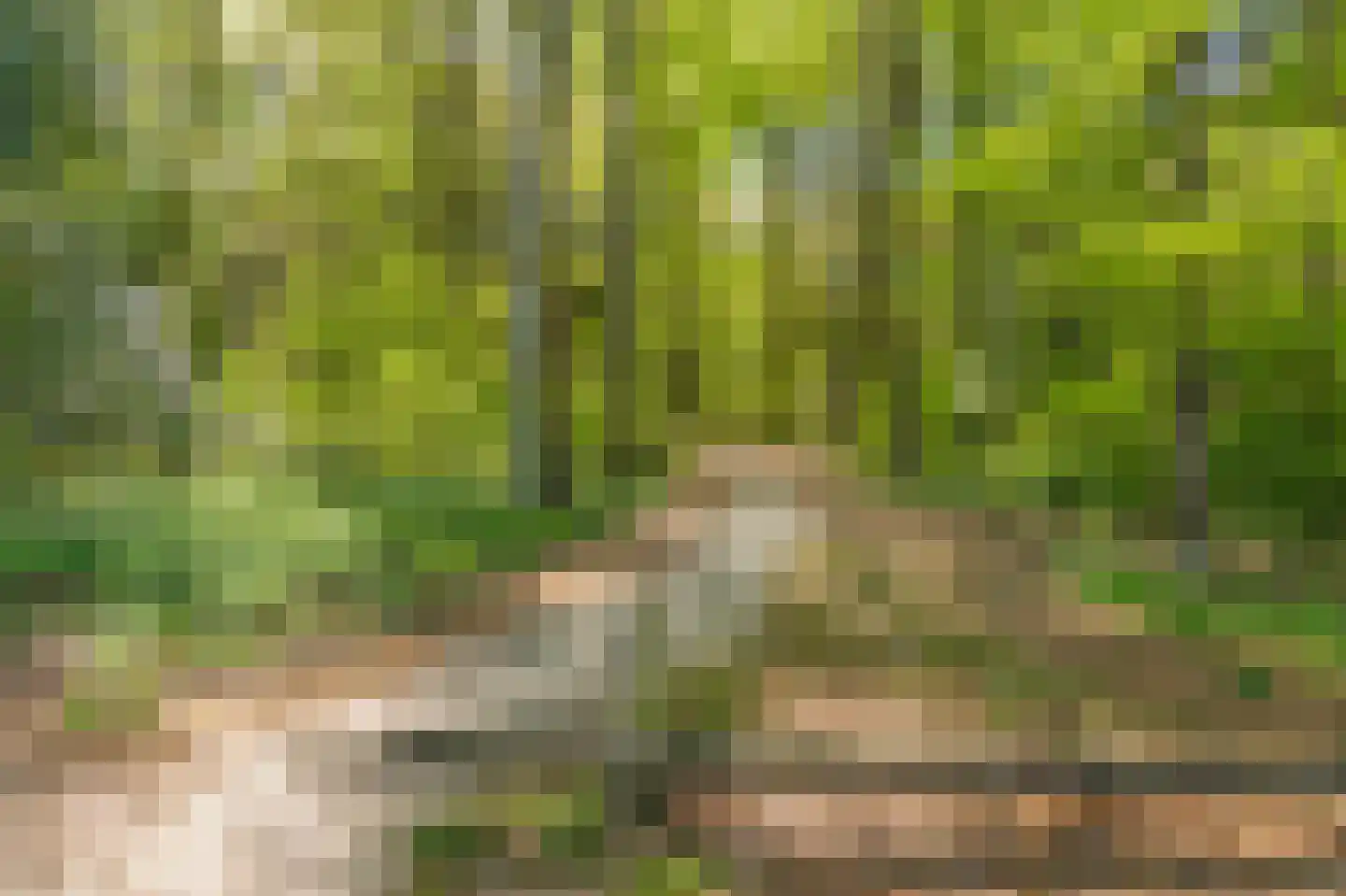 Vijverlaan 19 Rolde thumbnail 55