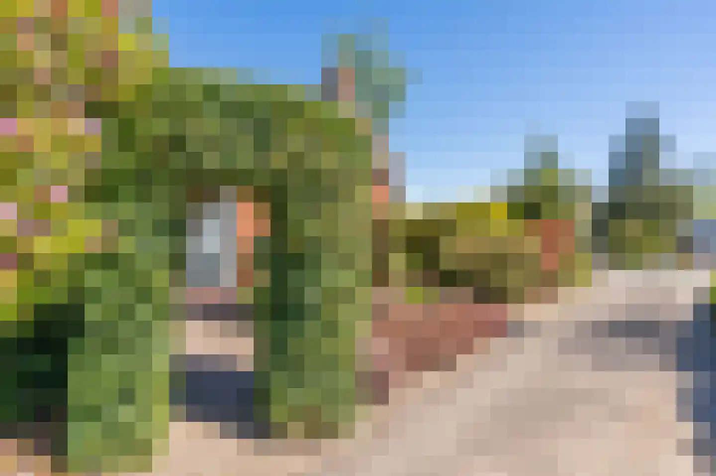 Vijverlaan 19 Rolde thumbnail 7