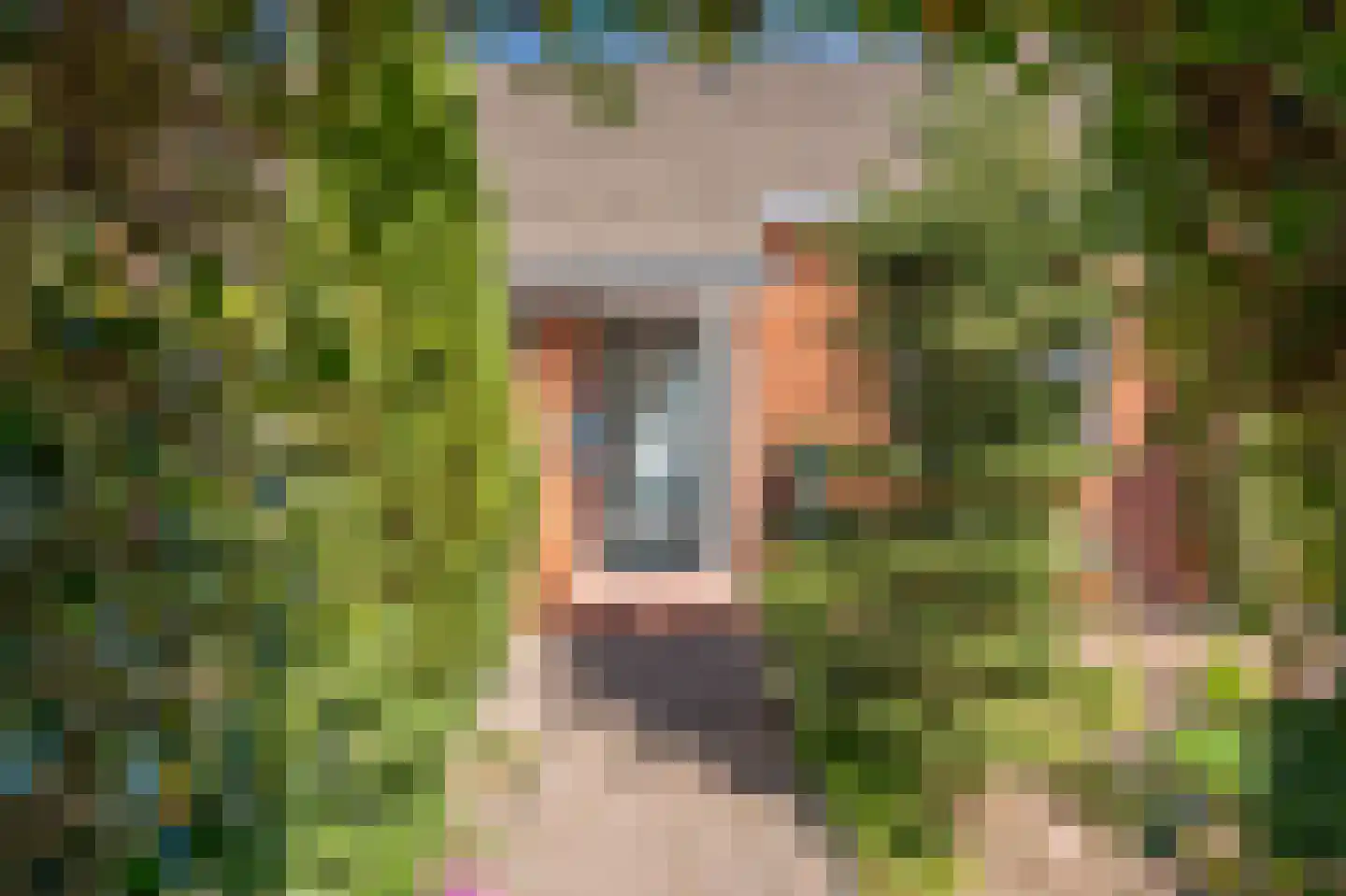 Vijverlaan 19 Rolde thumbnail 9